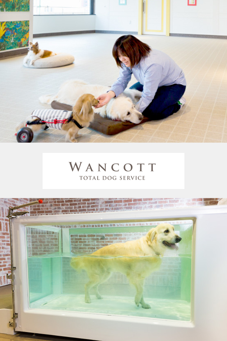 WANCOTT(ワンコット