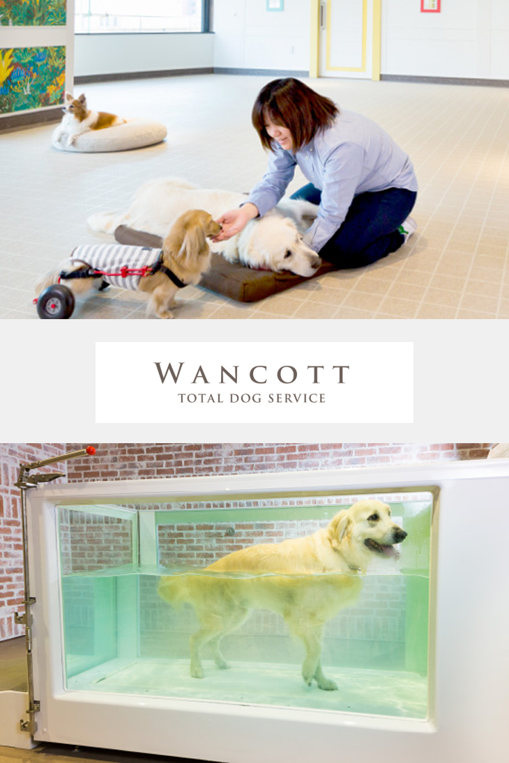 WANCOTT（ワンコット